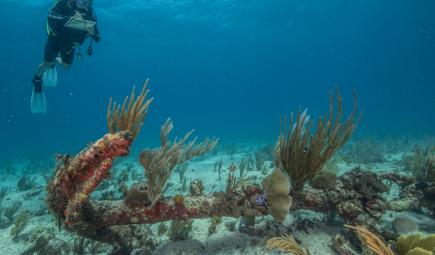 Archaelogists studying slave ship wreck underwater