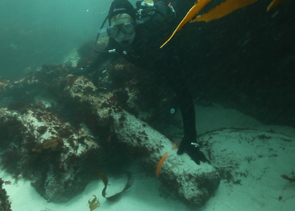 Underwater archaeology researchers identify guns on the wreck of the São José. Credit: Iziko Museums Underwater archaeology researchers identify guns on the wreck of the São José. Credit: Iziko Museums